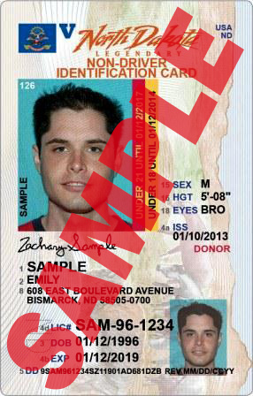 driver finder license id free